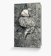 Another place Greeting Card