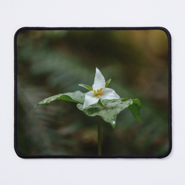 Item preview, Trillium designed and sold by millivedder.
