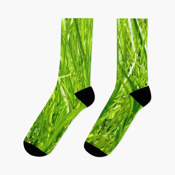 Item preview, Among the Tall Green Grass designed and sold by bjtomiko.