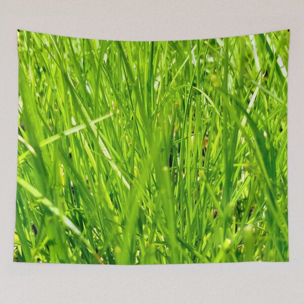 Item preview, Among the Tall Green Grass designed and sold by bjtomiko.
