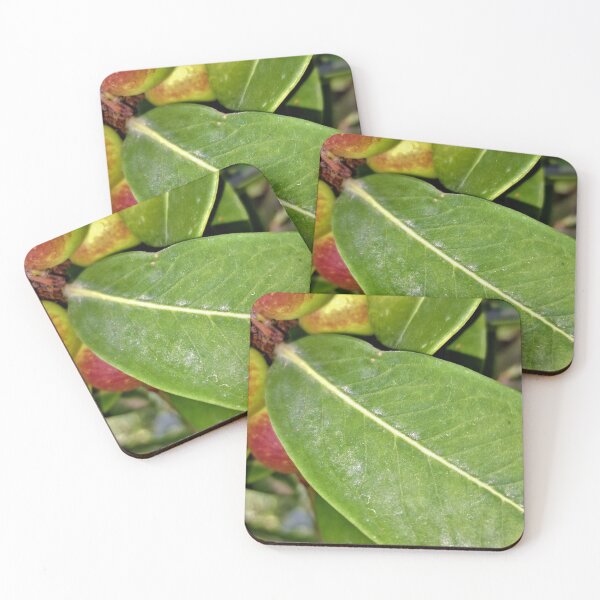 Item preview, ornamental plant dangerous  poisonous fruits  designed and sold by sadeek1021953Ss.