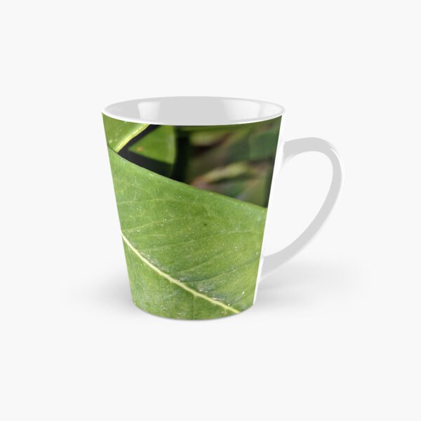 Item preview, ornamental plant dangerous  poisonous fruits  designed and sold by sadeek1021953Ss.