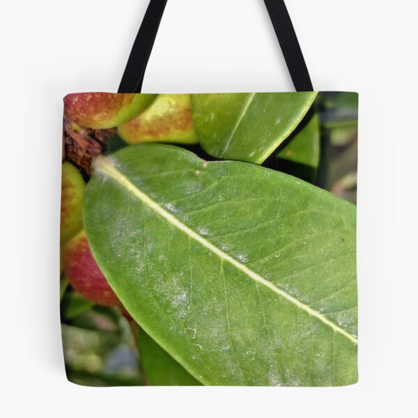 Item preview, ornamental plant dangerous  poisonous fruits  designed and sold by sadeek1021953Ss.