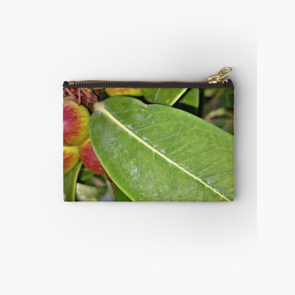 Item preview, ornamental plant dangerous  poisonous fruits  designed and sold by sadeek1021953Ss.