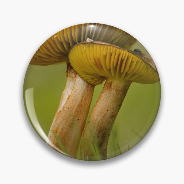 Item preview, Western gilled bolete designed and sold by millivedder.