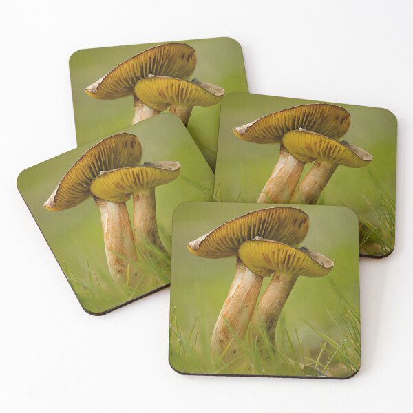 Item preview, Western gilled bolete designed and sold by millivedder.