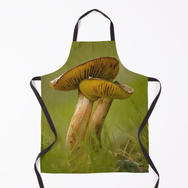 Item preview, Western gilled bolete designed and sold by millivedder.