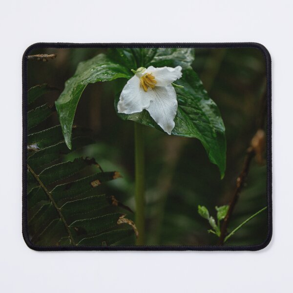 Item preview, Trillium designed and sold by millivedder.