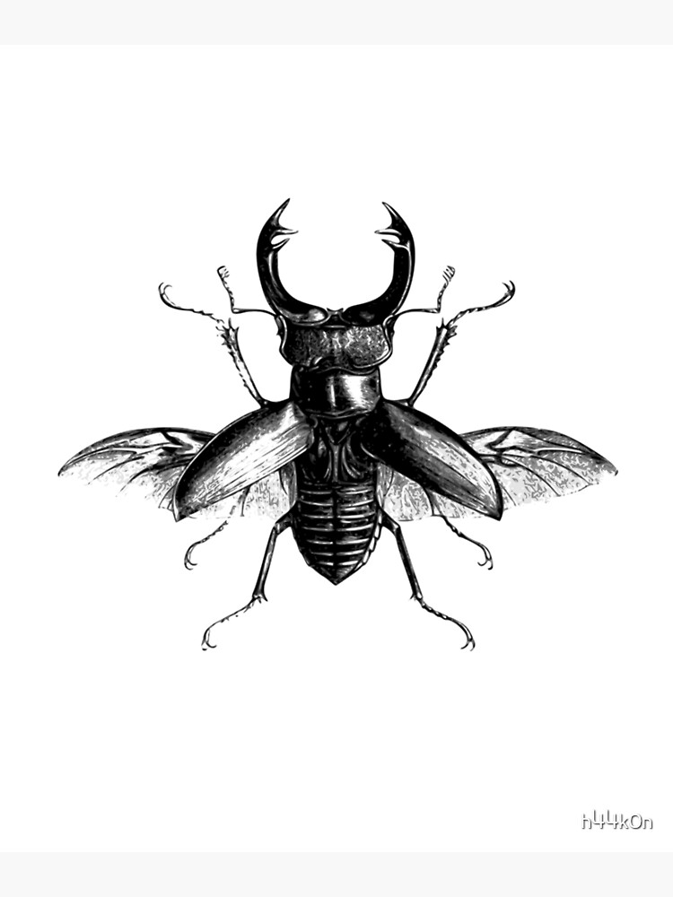 Stag Beetle Tattoo  Etsy