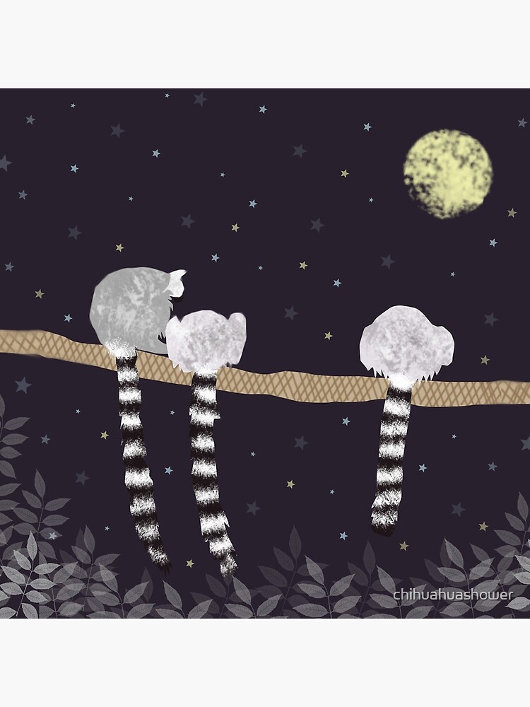 Lemurs by chihuahuashower