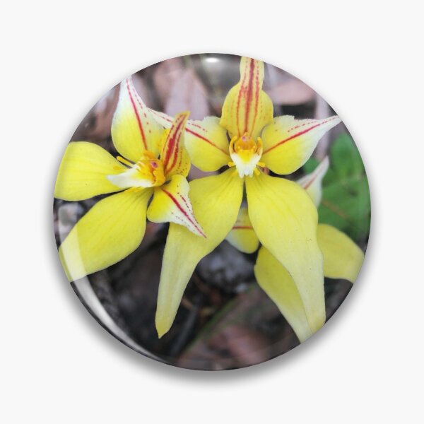 Item preview, Orchids designed and sold by Helly Peacock.