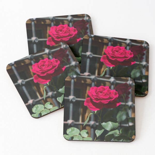 Item preview, Crimson Red Fragrant Rose in Full Bloom designed and sold by Georgia Mizuleva.
