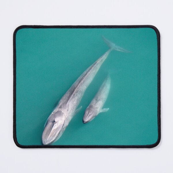 Item preview, Blue Whale and Calf designed and sold by FlyNingaloo.