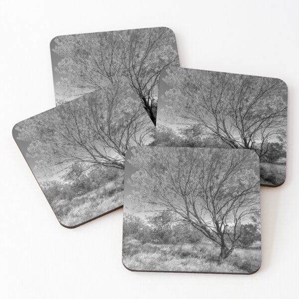 Item preview, Desert Tree 2 - bw designed and sold by Werner Padarin.