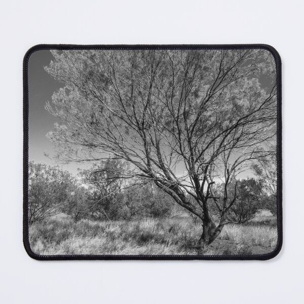 Item preview, Desert Tree 2 - bw designed and sold by Werner Padarin.