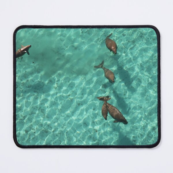 Item preview, Dugong Party! designed and sold by FlyNingaloo.