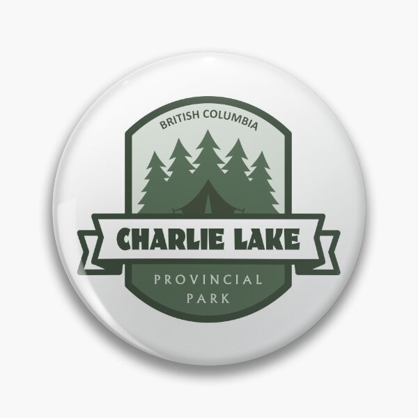 Aperçu de l'œuvre Parc provincial Charlie Lake Colombie-Britannique créée et vendue par bivenart.