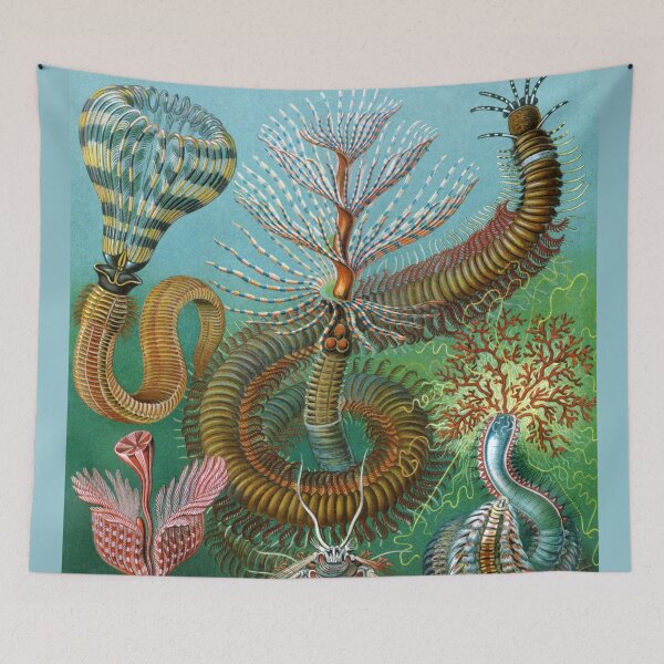 Item preview, Aquatic Life Animals designed and sold by JoolyA.