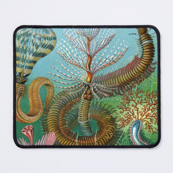 Item preview, Aquatic Life Animals designed and sold by JoolyA.