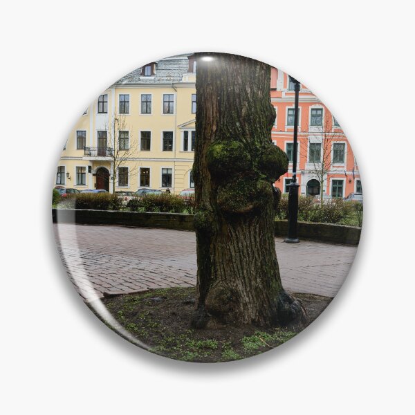 Item preview, The tree in the middle. Riga 2024 designed and sold by Jouko Lehto Photography.
