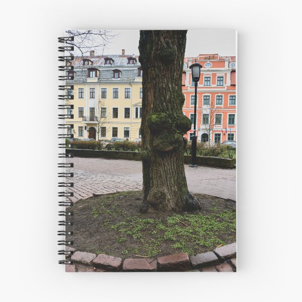 Item preview, The tree in the middle. Riga 2024 designed and sold by Jouko Lehto Photography.