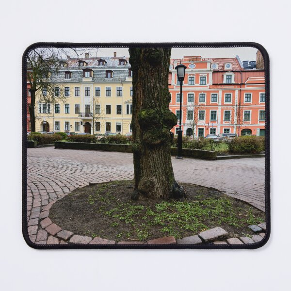 Item preview, The tree in the middle. Riga 2024 designed and sold by Jouko Lehto Photography.