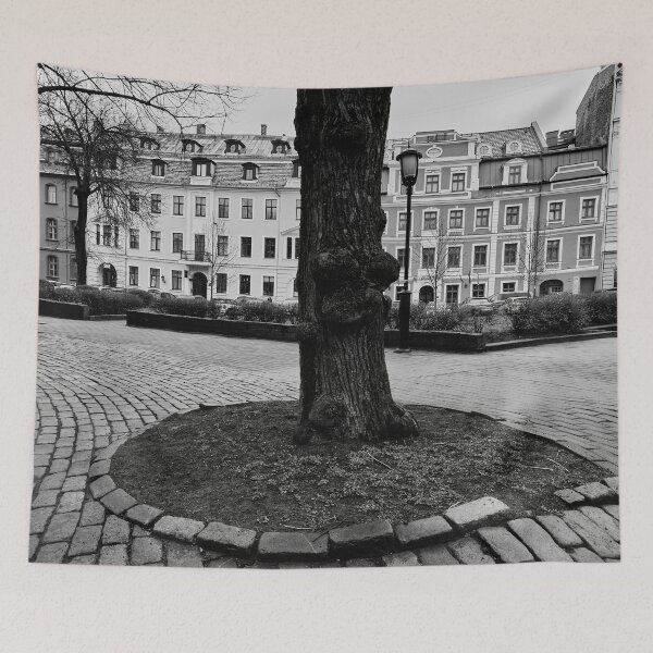 Item preview, The tree in the middle. Riga 2024 bw designed and sold by Jouko Lehto Photography.