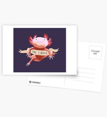 Bleib neugierig Axolotl Postkarten