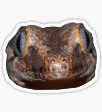 Pegatina Alien Gecko