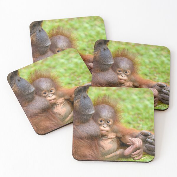 Item preview, Cherished Orangutan Mother's Cuddle designed and sold by rawshutterbug.