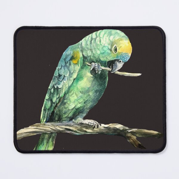 Item preview, blue fronted amazon parrot designed and sold by Lemontreeart63.