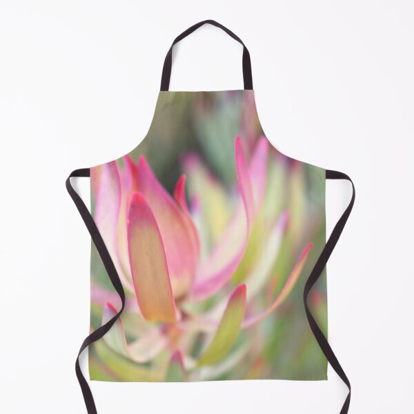 Item preview, Opening with Beauty - Leucadendron designed and sold by imaginethis.