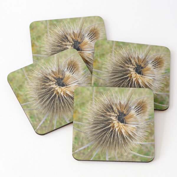 Item preview, spikey designed and sold by Perggals© - Stacey Turner.