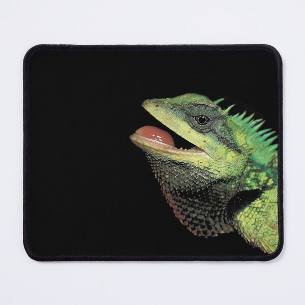 Item preview, Photograph of Forest crested lizard designed and sold by CreatureHouse95.