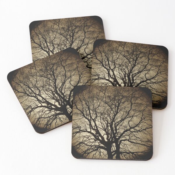 Item preview, Winter beech, Bridlington, sepia designed and sold by paulboizot.