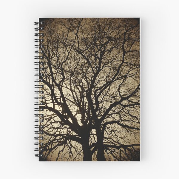 Item preview, Winter beech, Bridlington, sepia designed and sold by paulboizot.