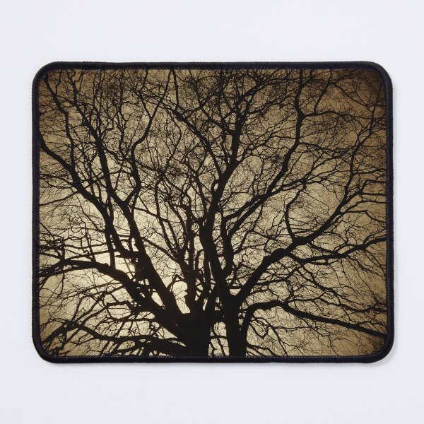 Item preview, Winter beech, Bridlington, sepia designed and sold by paulboizot.