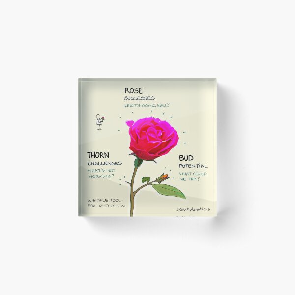 Item preview, Rose, Thorn, Bud reflection and retro activity designed and sold by Sketchplanations.