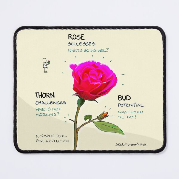 Item preview, Rose, Thorn, Bud reflection and retro activity designed and sold by Sketchplanations.