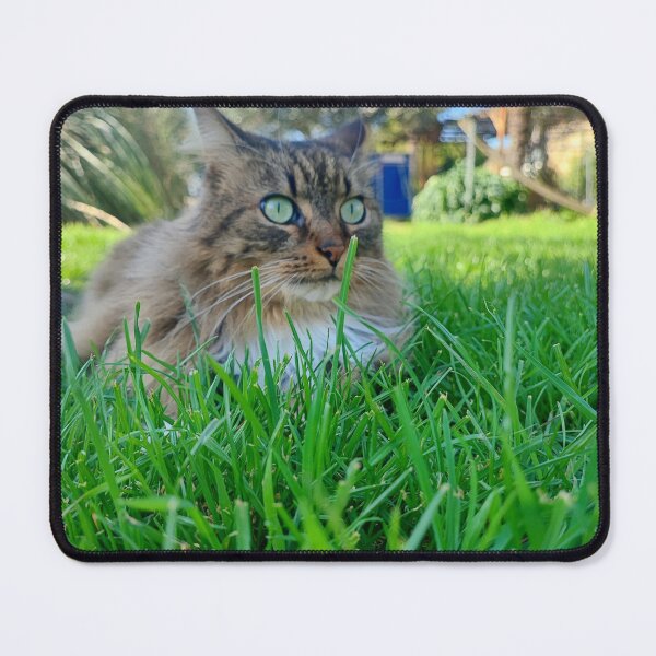 Item preview, Cat with green eyes designed and sold by Sabinedav.