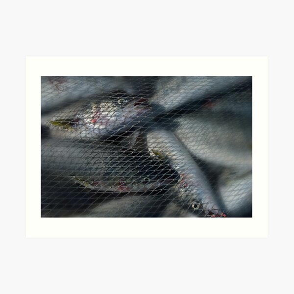 No Escape Art Print