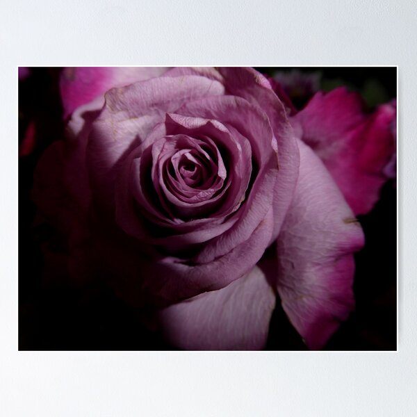 Item preview, rose; light in the darkeness designed and sold by Perggals© - Stacey Turner.