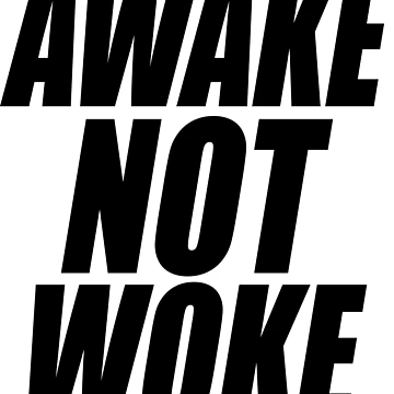 Artwork thumbnail, Awake NOT Woke by RISEONLINE