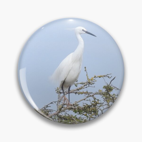 Item preview, Little Egret perching on top of a tall hedge designed and sold by TwistedClassics.