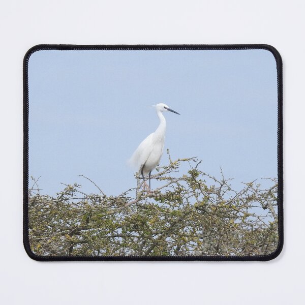 Item preview, Little Egret perching on top of a tall hedge designed and sold by TwistedClassics.