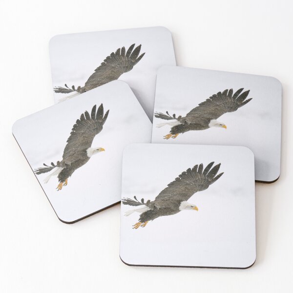 Item preview, Eagle in Flight Haines Alaska designed and sold by PhotoArt by Joan Carroll.