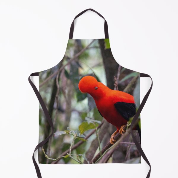 Item preview, Cock of the Rock in Colombia designed and sold by Julie Navitka.