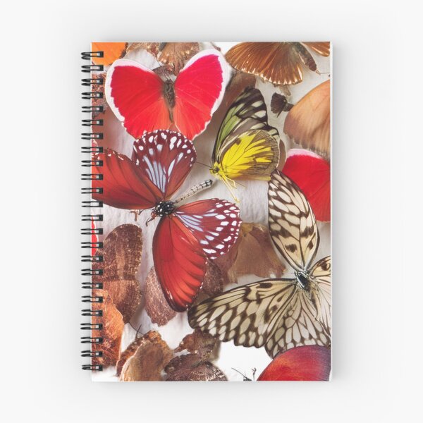 Item preview, Colorful butterflies in heart shape. designed and sold by SynyaStyle.