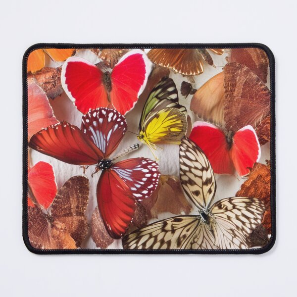 Item preview, Colorful butterflies in heart shape. designed and sold by SynyaStyle.
