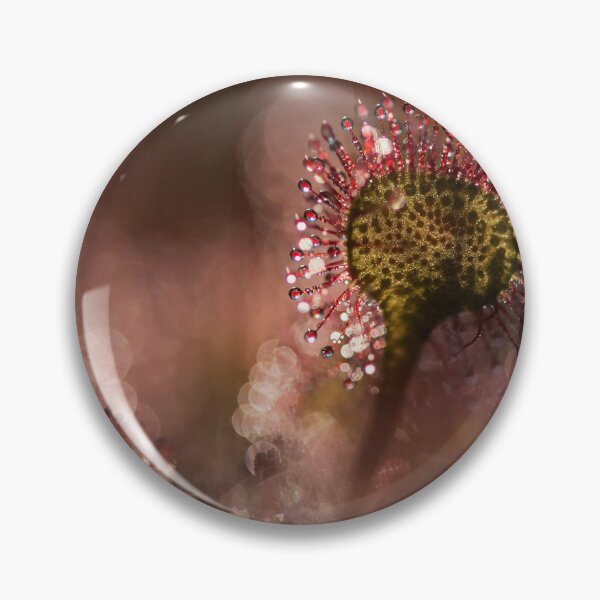 Item preview, Round-leafed sundew in a natural environment designed and sold by Elżbieta  Kaps.
